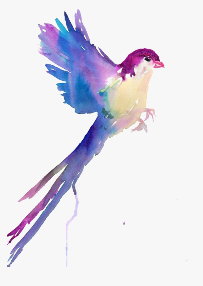 #ftestickers #watercolor #bird #colorful - Colorful Bird Flying Drawing, HD Png Download, Free Download