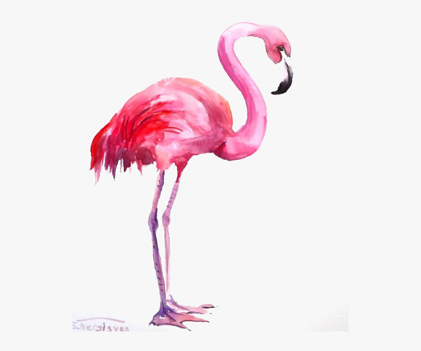 Water Color Flamingo Png, Transparent Png, Free Download