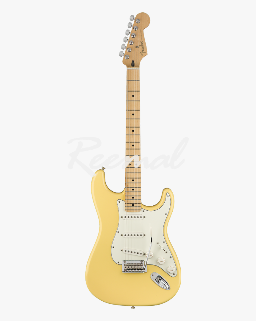 Elektrische Gitaar Fender, HD Png Download, Free Download