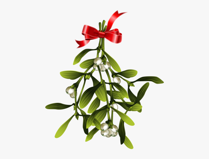 Epidendrum, HD Png Download, Free Download