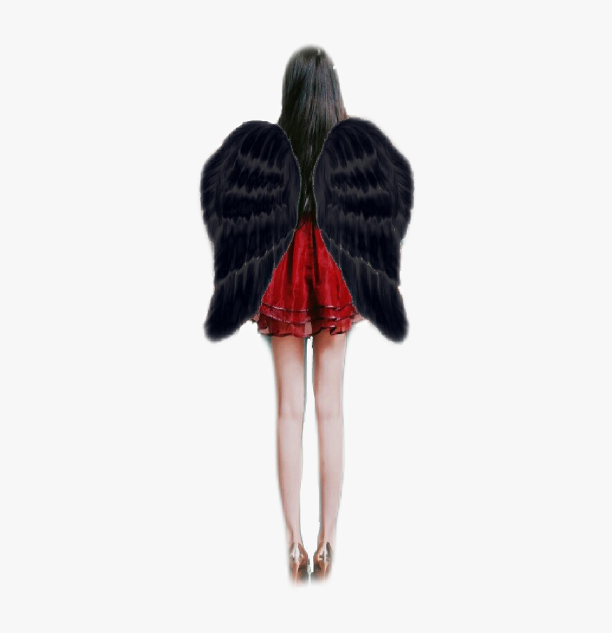 #alas Negras - Fur Clothing, HD Png Download, Free Download