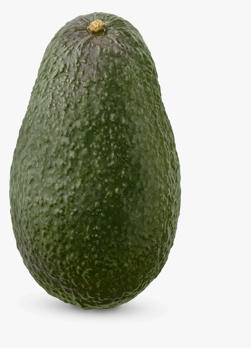 Avocado, HD Png Download, Free Download