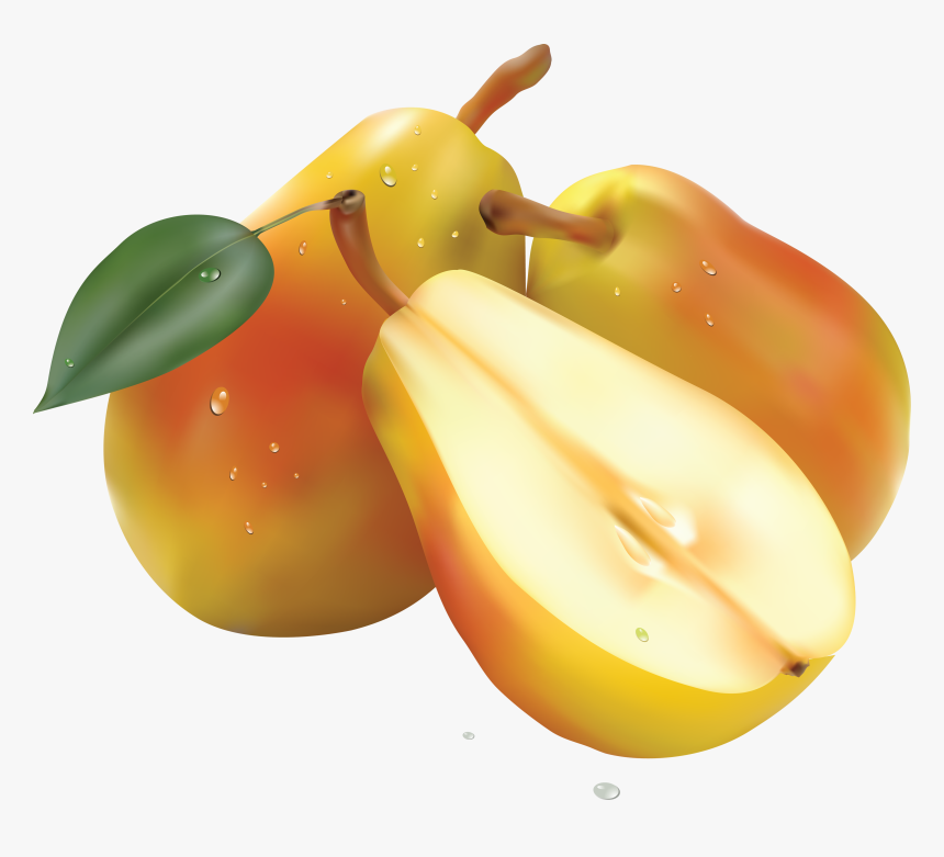 Pear Png Image - Pear Png, Transparent Png, Free Download