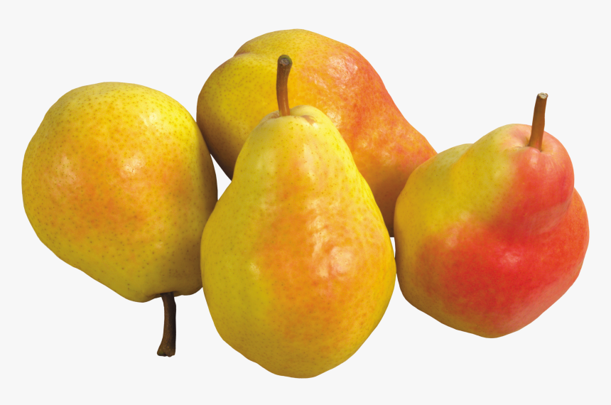 Pear Png Image, Transparent Png, Free Download