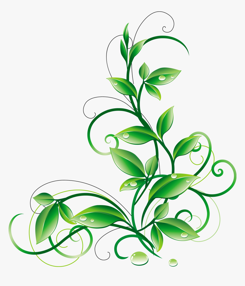 Transparent Mistletoe Clipart - Green Corner Border Png, Png Download, Free Download