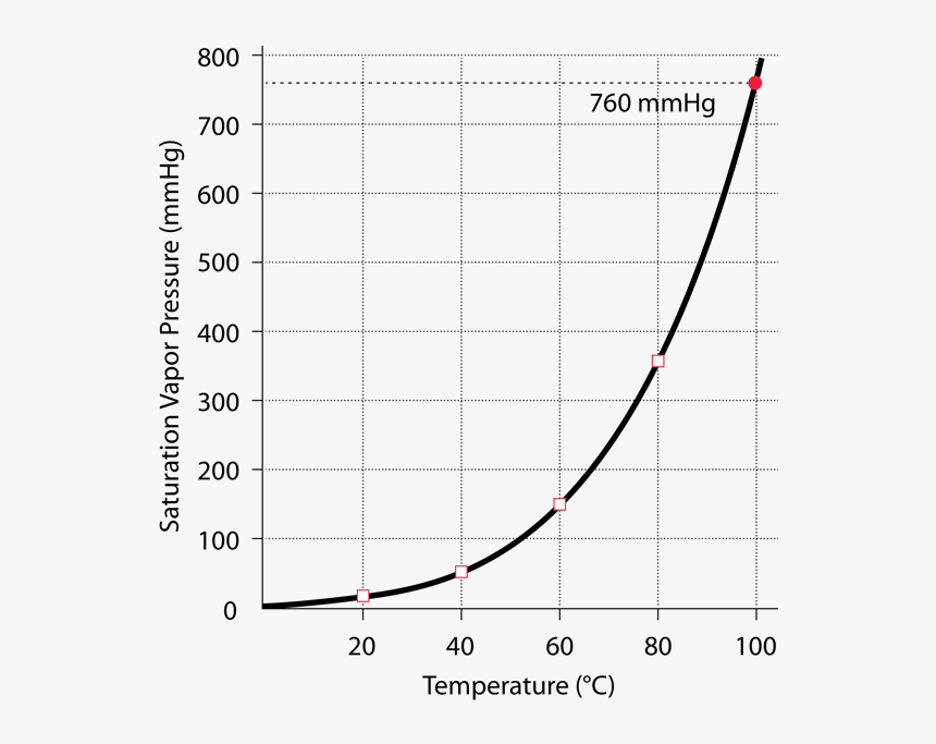 Presión De Vapor Del Agua Vs Temperatura, HD Png Download, Free Download