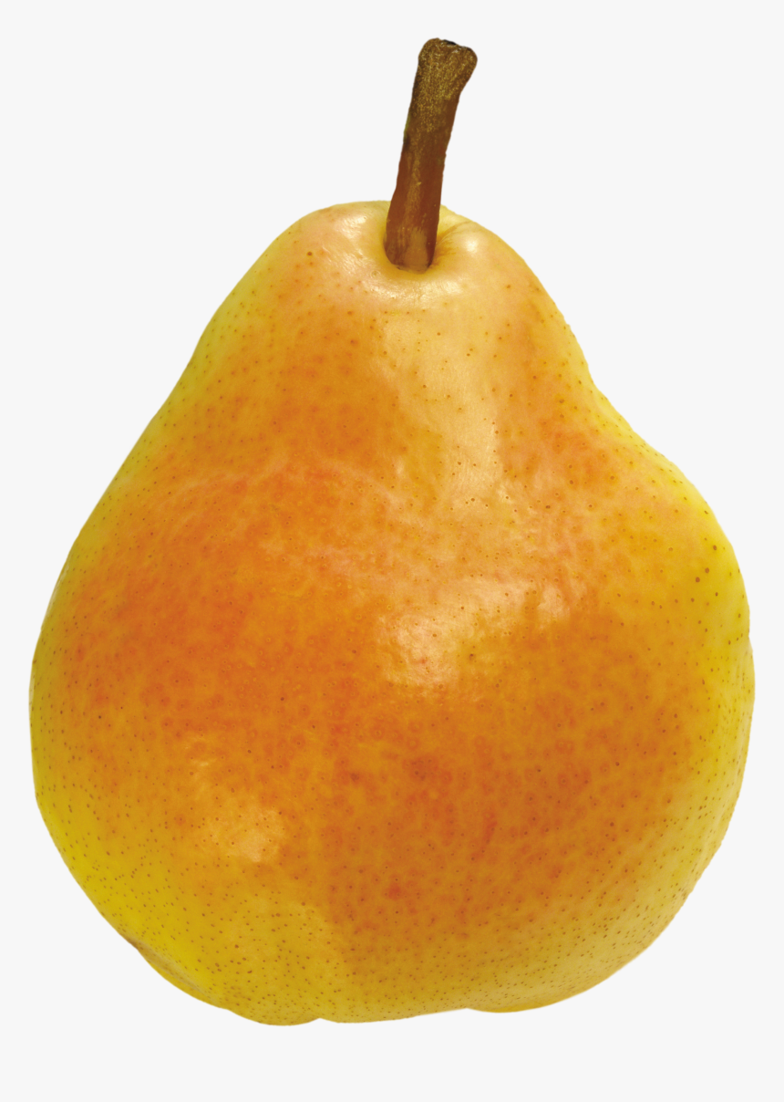 Pears - Картинка Груша На Прозрачном Фоне, HD Png Download, Free Download