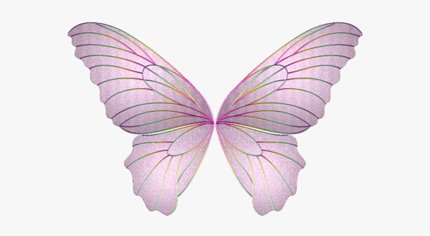 Лепесток крыло бабочки. Крылья феи. Крылья бабочки. Крылышки феи. Розовые Крылья феи.