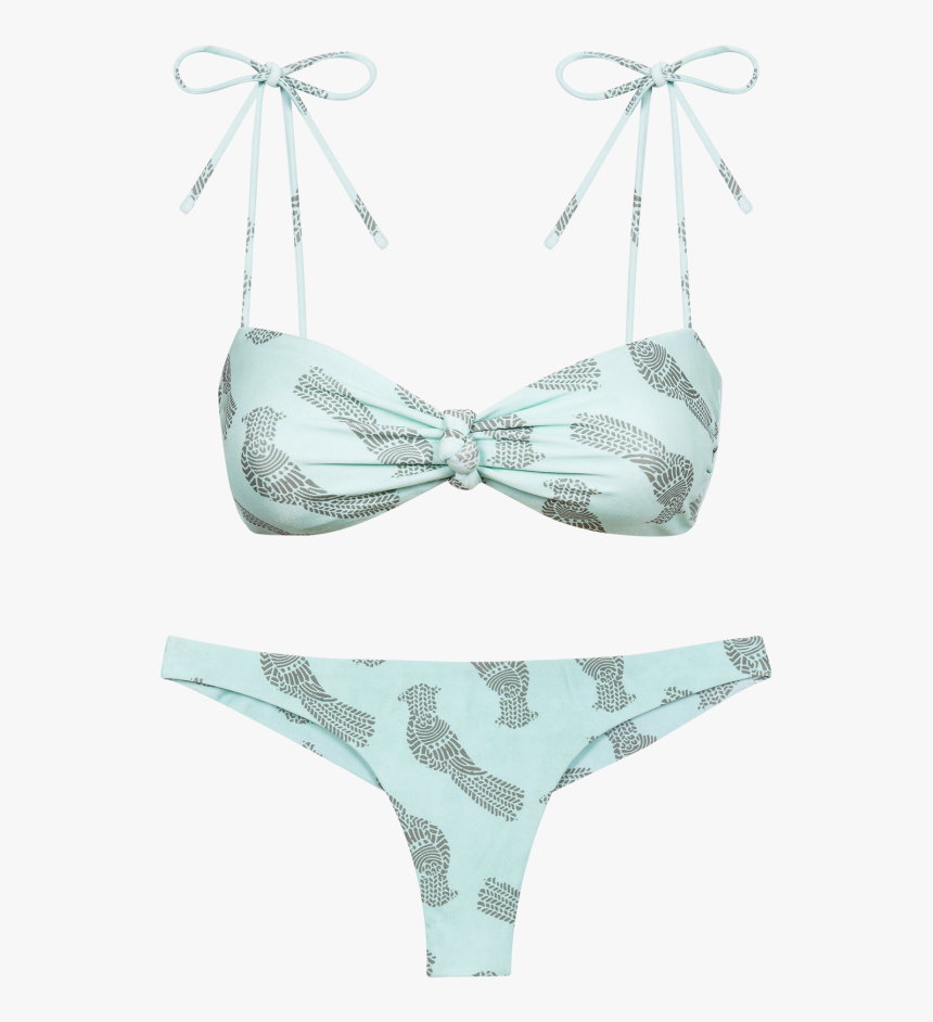 Passaro Tied Knot Bikini - Swimsuit Bottom, HD Png Download, Free Download