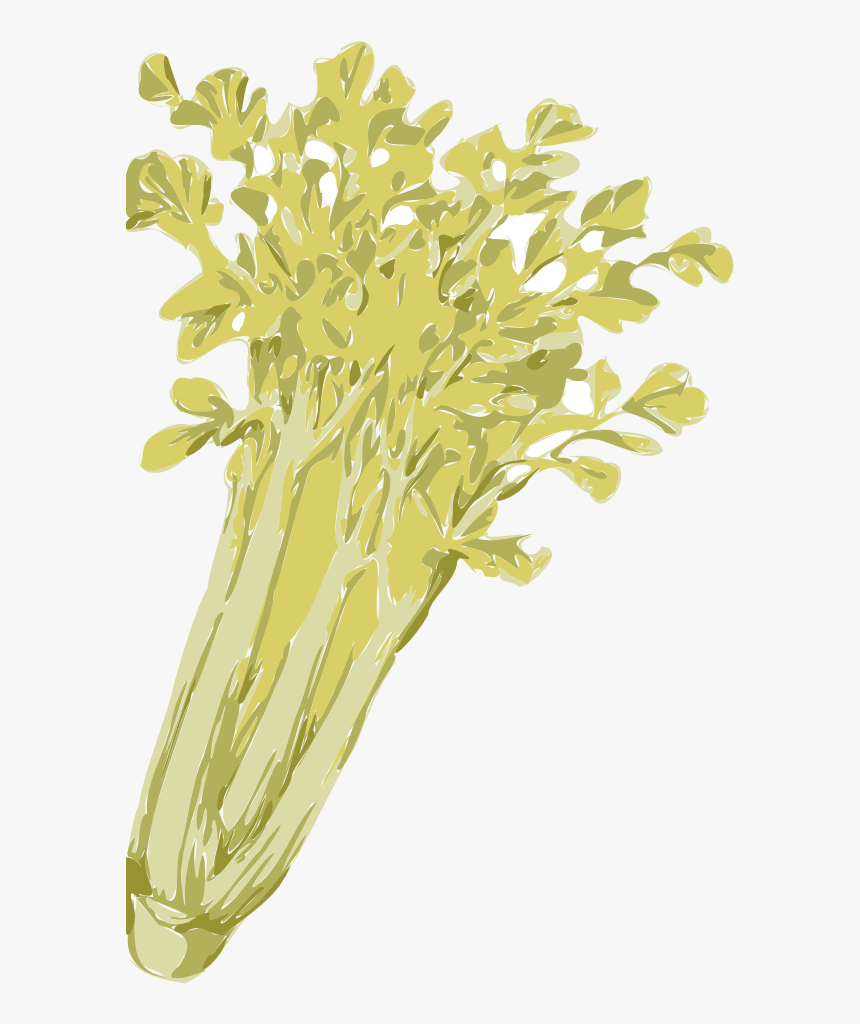 Celery - Seledri Vector Png, Transparent Png, Free Download