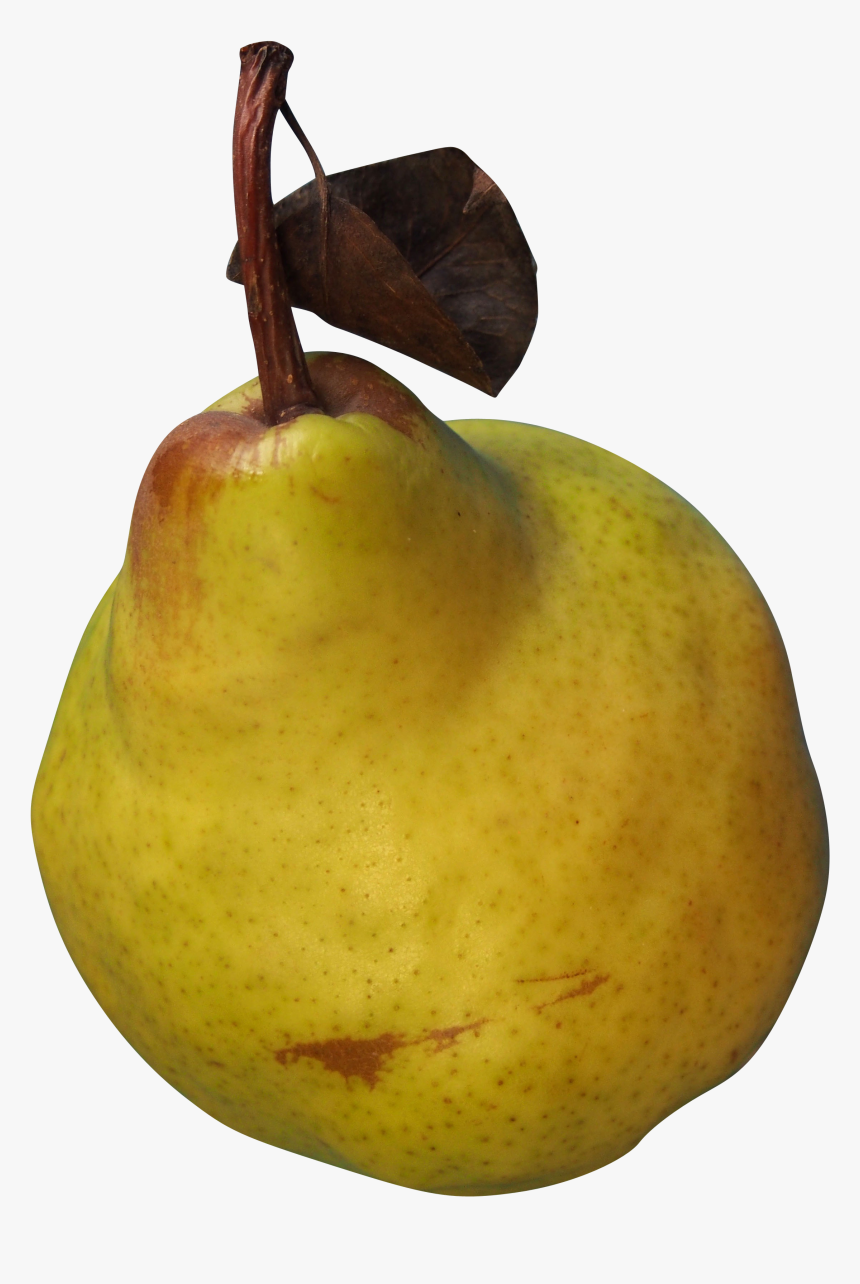 Asian Pear, HD Png Download, Free Download
