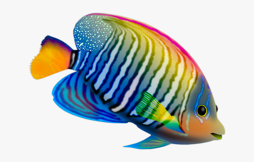 Https - //fotki - Yandex - Ru/next/users/morela4/ - - Live Fish Png, Transparent Png, Free Download