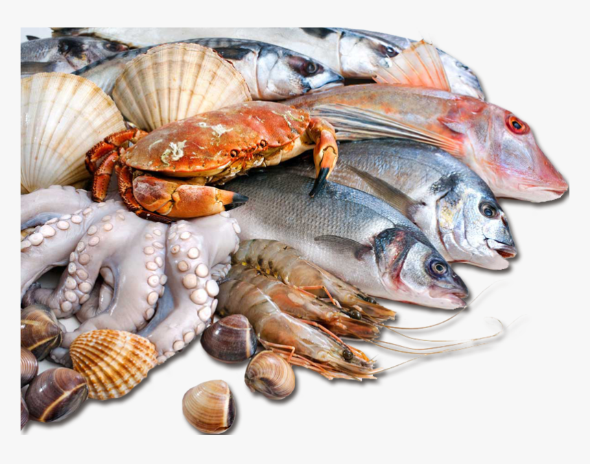 Sea Food In Pakistan , Png Download - Mumbai Bhaucha Dhakka Fish Market, Transparent Png, Free Download