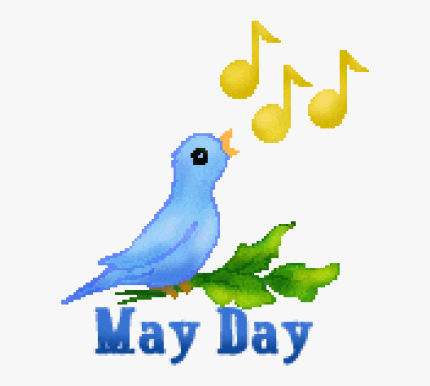 Singing Bird Morning Gif, HD Png Download, Free Download