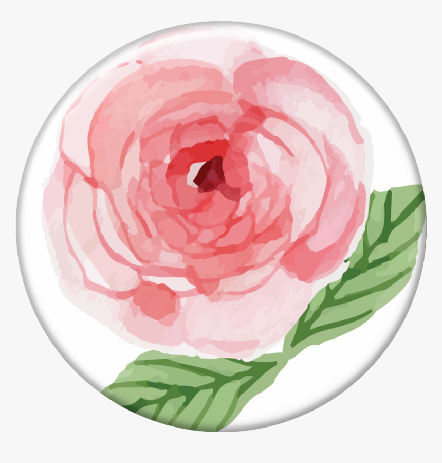 Pop Selfie Rosa - Persian Buttercup, HD Png Download, Free Download