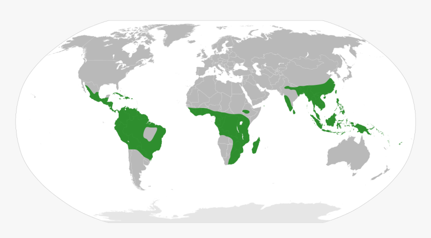 Big Blank Map Of The World, HD Png Download, Free Download