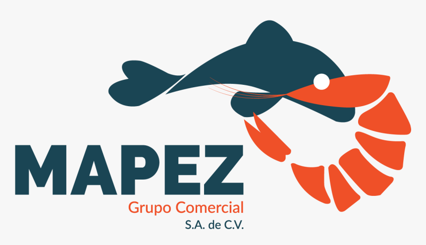Grupo Comercial Mapez - Cartilaginous Fish, HD Png Download, Free Download
