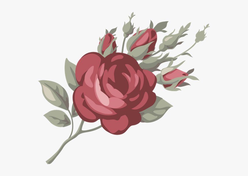 Роза, Цветок Розы, Красная Роза, Бутон Розы, Цветы, - Роза Png, Transparent Png, Free Download