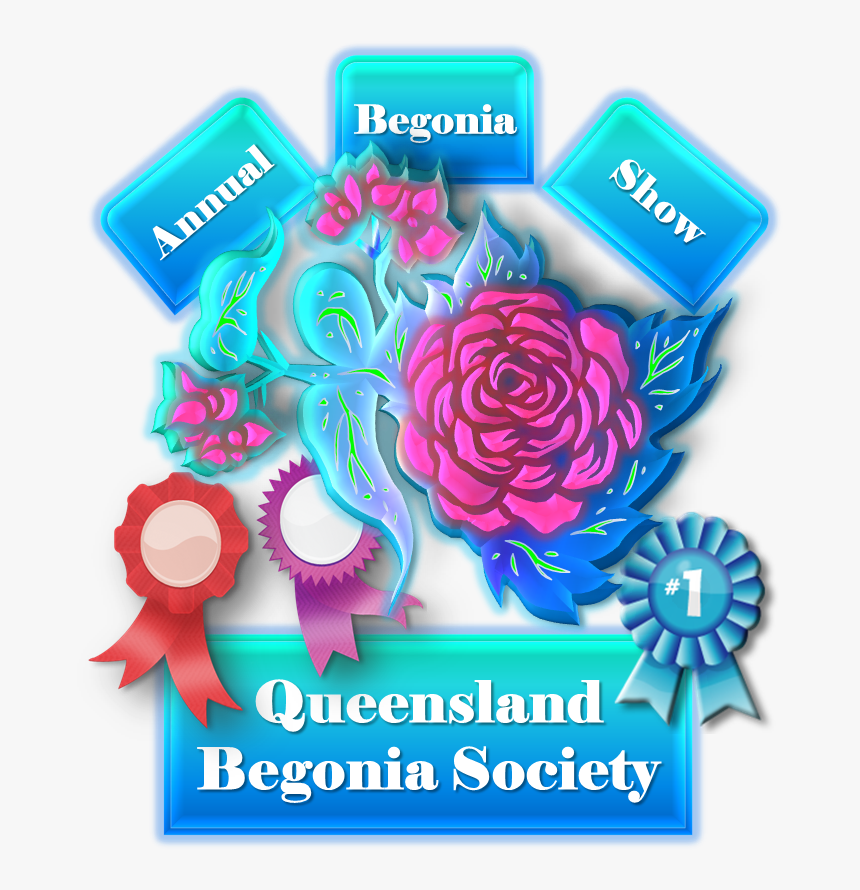 Annual Begonia Show - Begonia, HD Png Download, Free Download