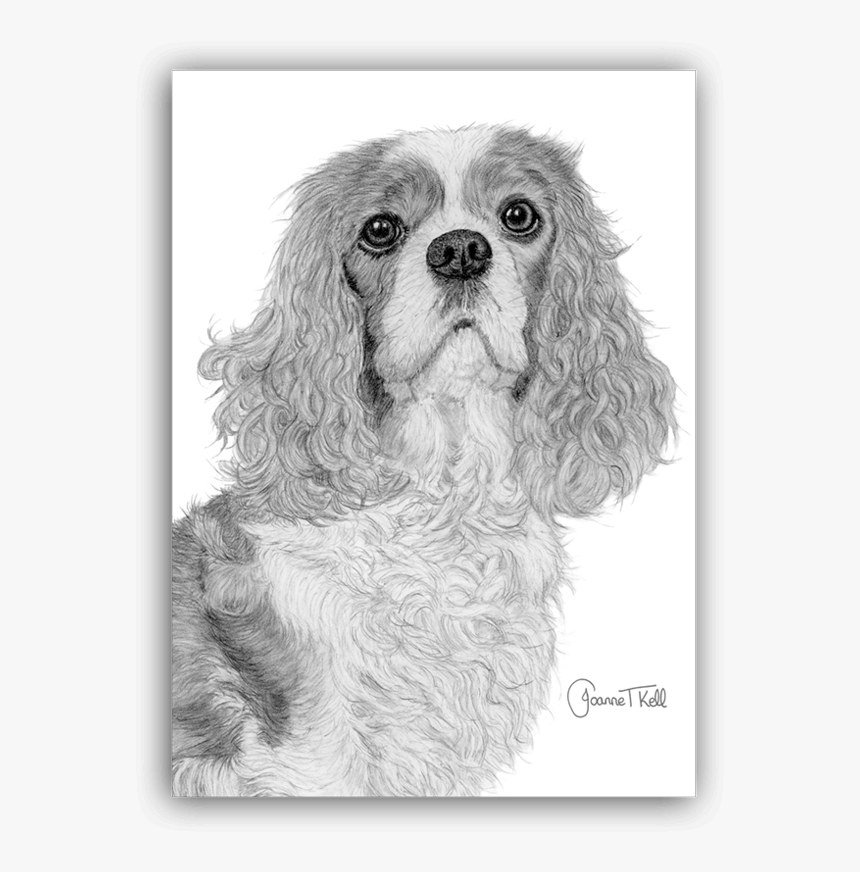 Transparent Blank Greeting Card Png - Cocker Spaniel, Png Download, Free Download