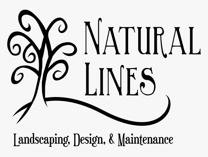 Natural Lines Logo Final - Calligraphy, HD Png Download, Free Download