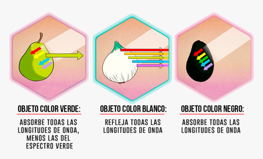 ¿que Es La Luz Y El Color - Cfa Du Spectacle Vivant Et De L Audiovisuel, HD Png Download, Free Download