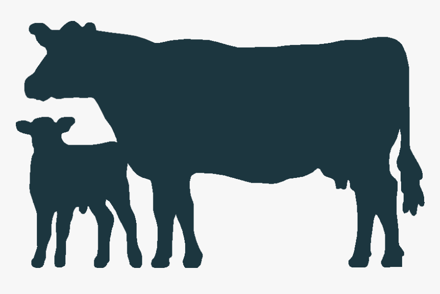 Cow Clip Art Calf - Cow And Calf Svg, HD Png Download, Free Download