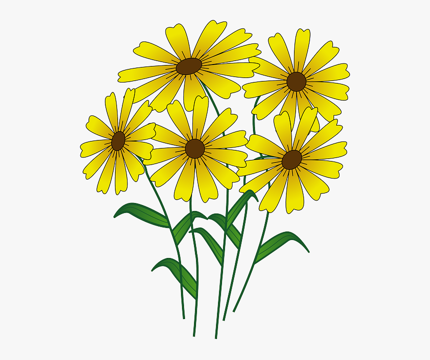 5 Flowers Clipart, HD Png Download, Free Download