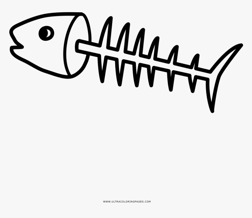 Fishbones Coloring Page - Fish Bone Drawing, HD Png Download, Free Download