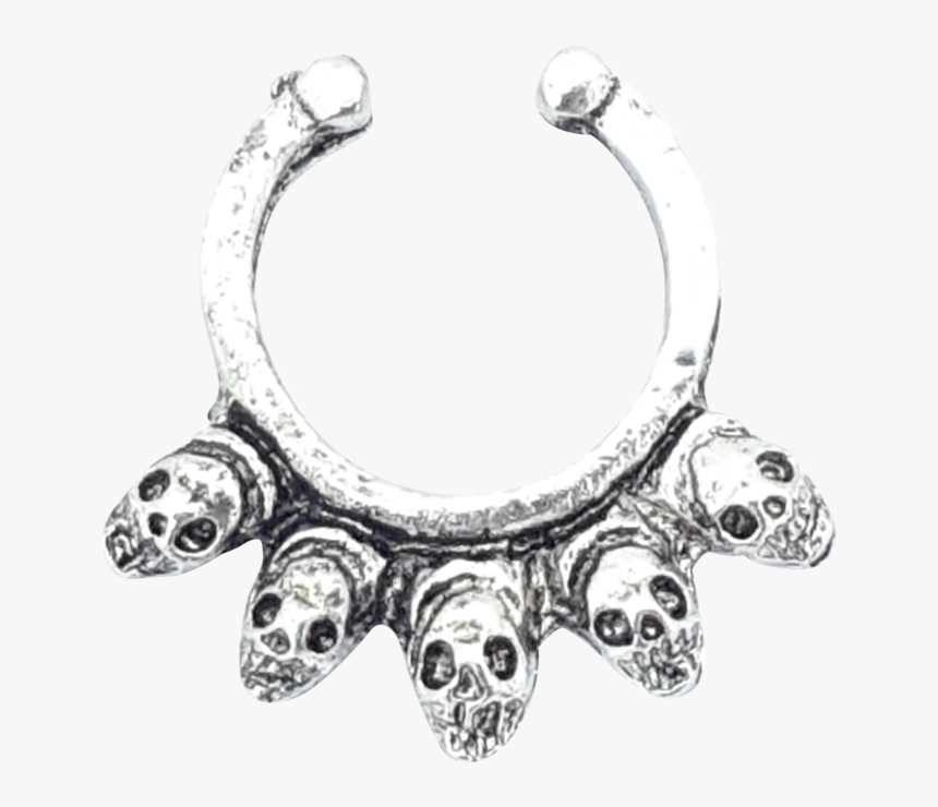 Transparent Septum Png - Green Sea Turtle, Png Download, Free Download