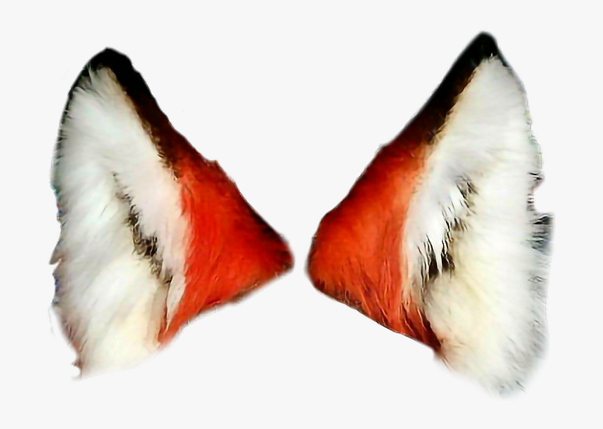 #freetoedit #fox #foxears - Fox Ears Transparent Background, HD Png Download, Free Download