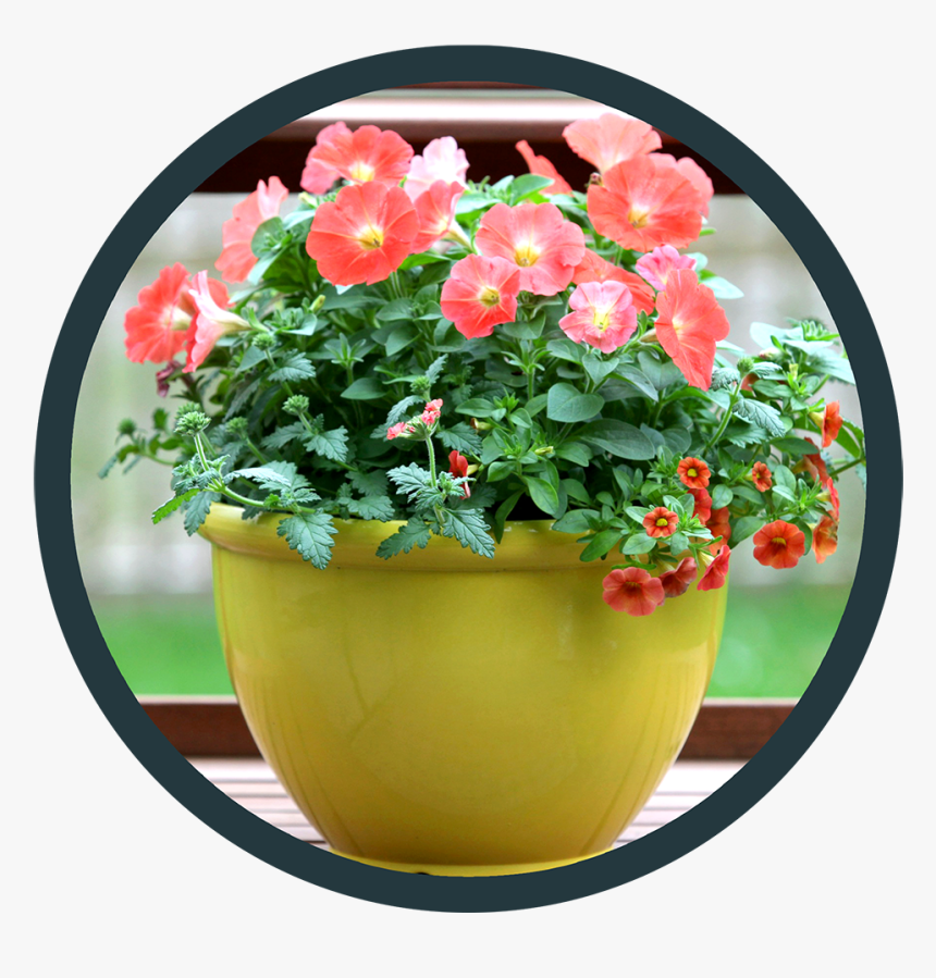 Flowerpot, HD Png Download, Free Download