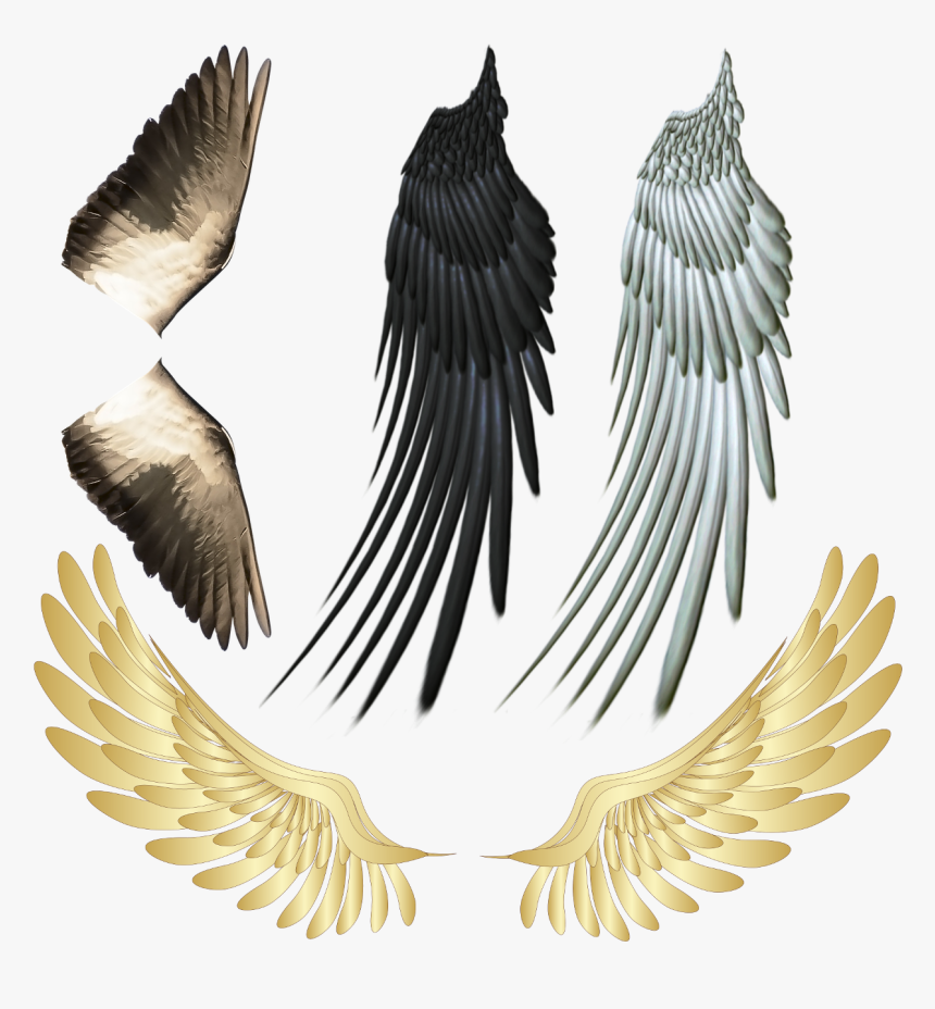 Transparent Devil Wings Png - Angel Wings Halo Gold, Png Download, Free Download