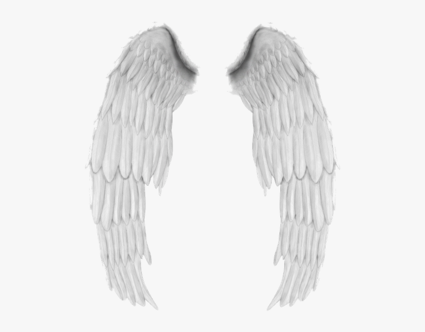 Transparent Asas De Anjo Png - ปีก นางฟ้า สวย ๆ, Png Download, Free Download