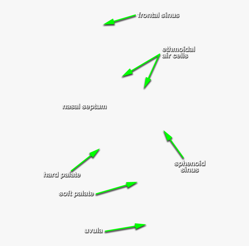 Diagram, HD Png Download, Free Download