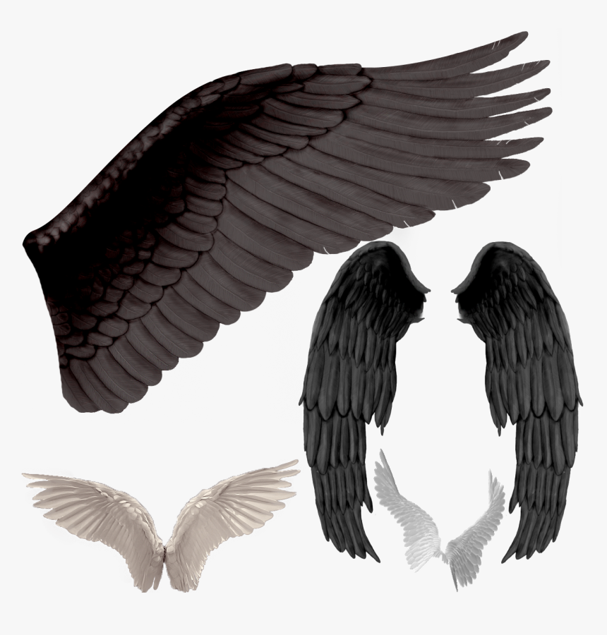 Transparent Devil Wings Png - Black Angel Wings Png, Png Download, Free Download