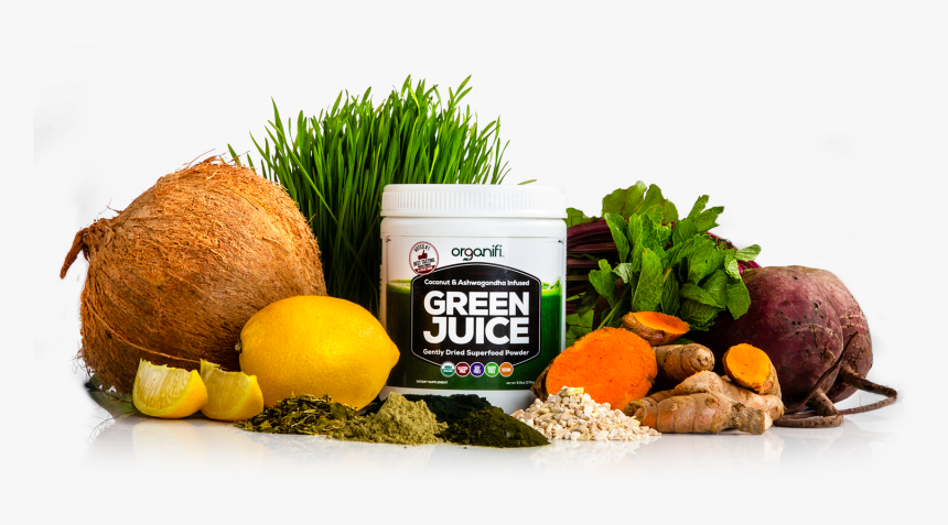 Organifi, HD Png Download, Free Download