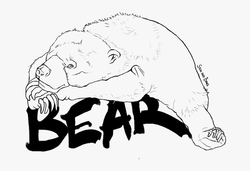 Bear - Sketch, HD Png Download, Free Download