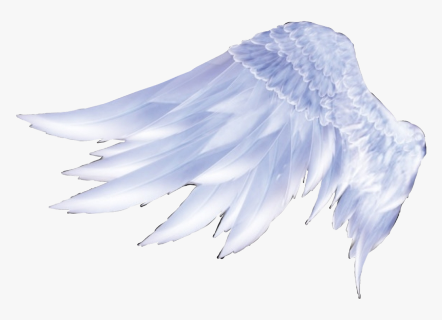 #wigs #asa #anjo - Angel Wings Pastel Color, HD Png Download, Free Download
