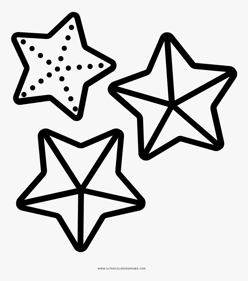 Estrella De Mar Página Para Colorear - Dibujos D Estrella Del Mar Para  Colorear, HD Png Download - kindpng