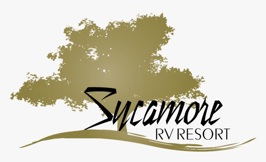 Sycamore Rv Resort - Resort, HD Png Download, Free Download