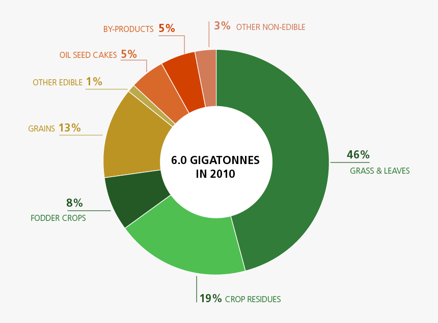 Methane Emissions From Livestock, HD Png Download, Free Download