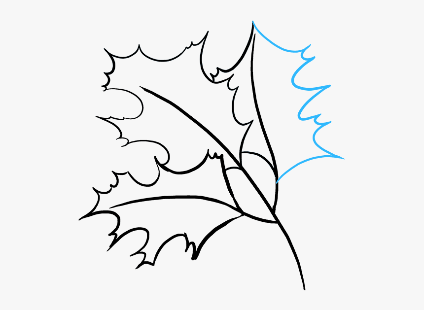 How To Draw Fall Oak - Fall Drawing, HD Png Download, Free Download