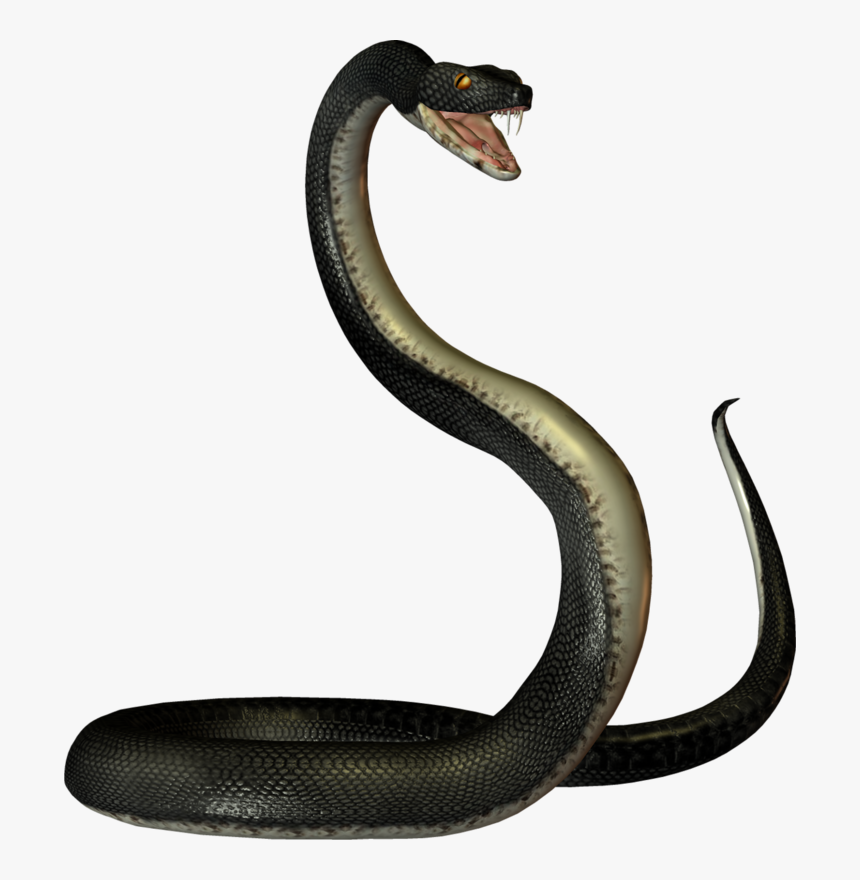#snake - Black Mamba Snake Transparent, HD Png Download - kindpng.