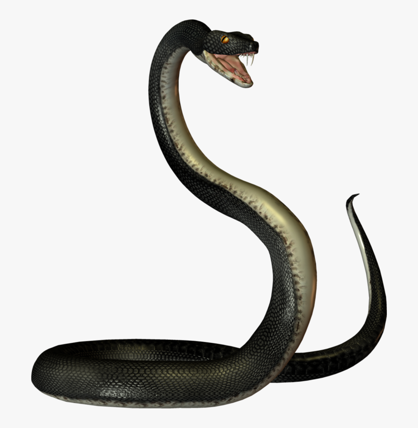 #snake - Black Mamba Snake Transparent, HD Png Download, Free Download