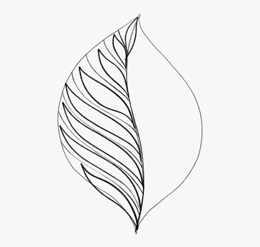 Drawing Leaves Easily Using Simple Shapes - Line Art, HD Png Download, Free Download