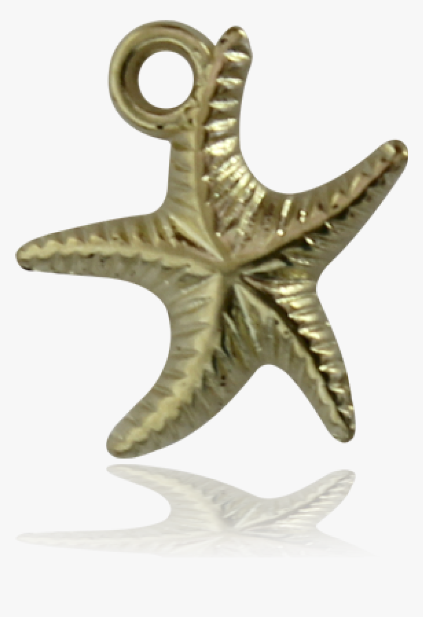 Dije Estrella De Mar Baño De Oro,3 - Starfish, HD Png Download, Free Download