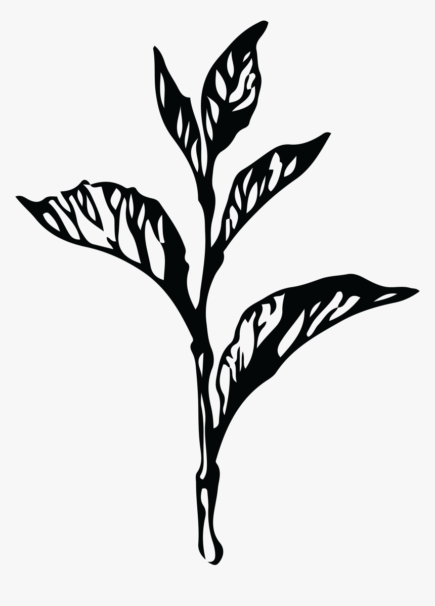 Twig, HD Png Download, Free Download