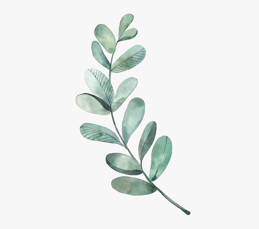 Leaf Leaves Illustration Watercolor Green Painting - Watercolor Leaves Clipart, Hd Png Download - Kindpng