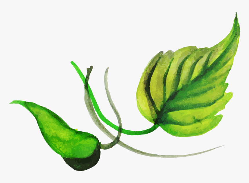 Illustration, HD Png Download, Free Download